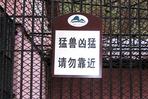 ָʾ9